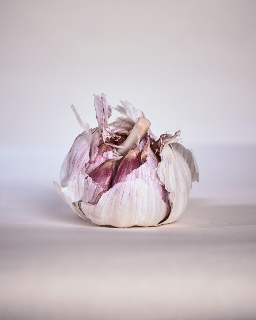 Results from the studio still life shooting.